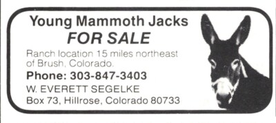 W Everett Segelke Young Mammoth Jacks Hillrose Colorado Vtg Magazine Print Ad