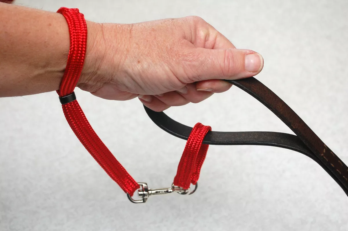 Dog walking strap cheap