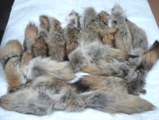 Wholesale Lot of 20 Tanned Eastern Coyote Tails/Crafts/Real Fur Tails