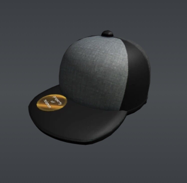Robl0x | Stolen Grey Baseball Cap Summoner Series 6 WORLDWIDE