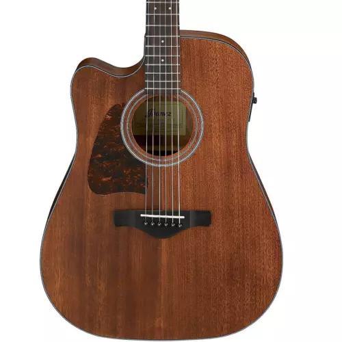 Ibanez AW54LCE Artwood Traditional Left-Handed A/E Guitar, Open Pore Natural