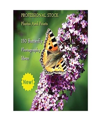 Professional Stock Photos and Prints - 150 Butterfly Photography Ideas - Full Co