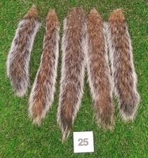 5 x Genuine Grey Squirrel tails No 25