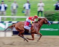 Triple Crown Horse JUSTIFY Glossy 8x10 Photo Belmont Print Mike Smith Poster
