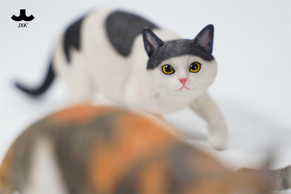JXK 1:6 Scale Chinese Garden Cat 3.0 Model Animal Scene JXK 1:6 Scale Chinese Garden Cat 3.0 Model Animal Scene
