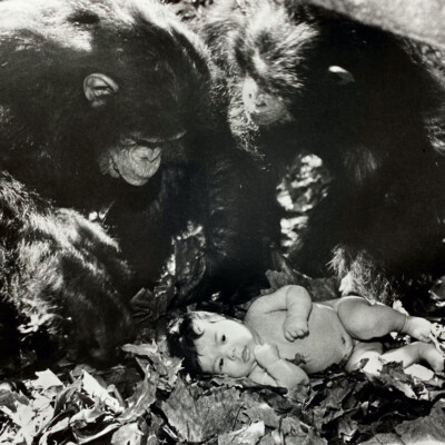 1984 Christopher Lambert Andie MacDowell Greystoke Tarzan Press Kit Photo #14