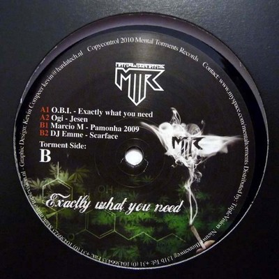 Various - Exactly What You Need (12'') (Very Good Plus (VG+)) - 3716022016
