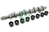 Schaeffler INA 428 0042 30 Nockenwellensatz FüR Audi Ford Seat Skoda VW