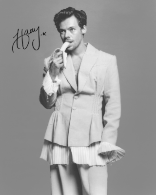 HARRY STYLES SIGNED AUTOGRAPHED REPRINT POSTER VOGUE DRESS BANANA MANLY MEN