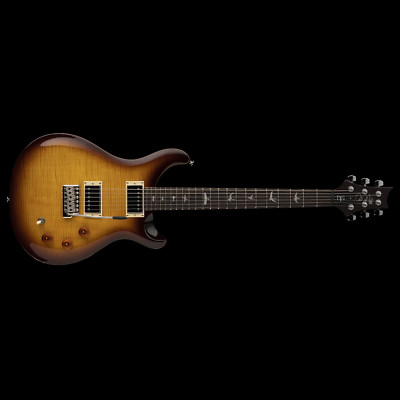 PRS Paul Reed Smith SE DGT 'Birds' Guitar, Rosewood, McCarty Tobacco Sunburst