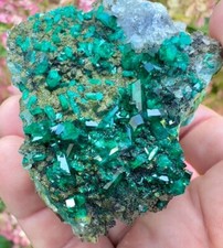 G2U SCEPTERED Dioptase With Shattuckite Quartz Mottromite