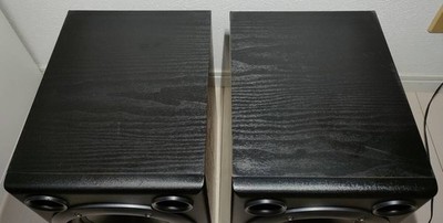 希少動作品！Roland ローランド パワード・モニター DS-7 2本セット 中古】Roland / DS-7 PAIR 【梅田店】 | パワードモニター | イシバシ楽器