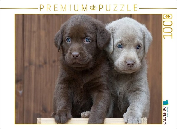 Calvendo Puzzle Labrador Siblings | 1000 Pieces, Finished Size 25.2 × 18.9 In (6-image