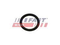 Fast Dichtung, Agr-Ventil U.A. FüR CitroËN, Peugeot