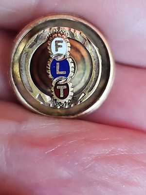 Antique Symbolic Lodge Knights Templar Odd Fellows  Lapel Pin Screw On Back