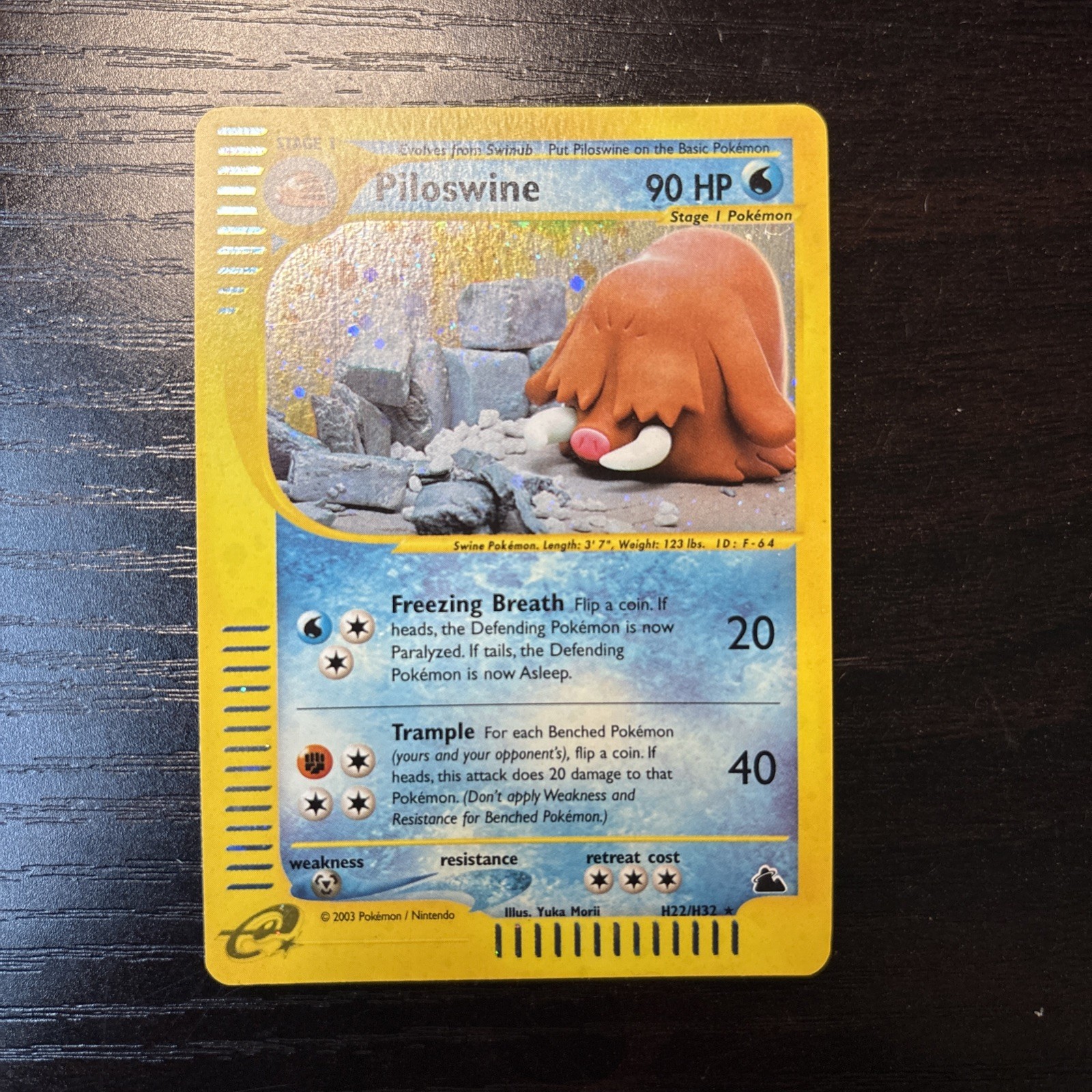 Piloswine H22/H32 Skyridge Holo Swirl NM Condition Pokemon Card