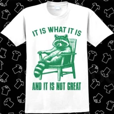 It Is What It Is And It Is Not Great Chillin Funny Raccoon Joke Meme T Shir 1072