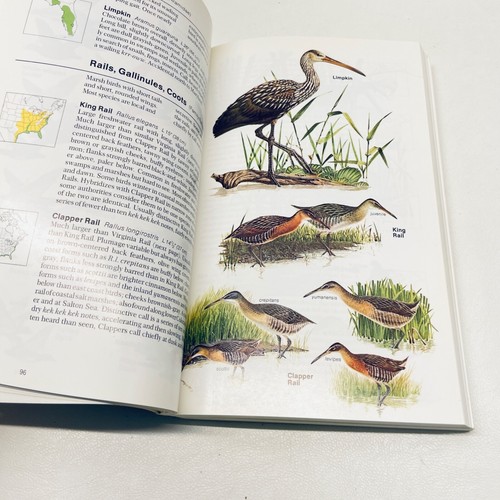 FIELD GUIDE TO THE BIRDS OF NORTH AMERICA National Geographic Society - Picture 6 of 8