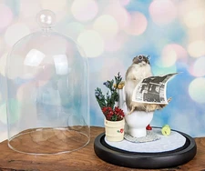 Toilet Mouse Glass Dome Display Taxidermy Oddities Curiosities collectible