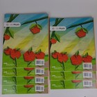 Bild 3 von 13