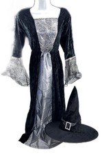 Adult S/M Witch Halloween Costume with Hat Black Spiderweb Accent