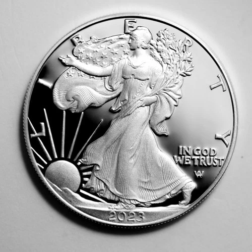 2023-W 1 Oz Fine Silver Proof US Coin American Silver Eagle