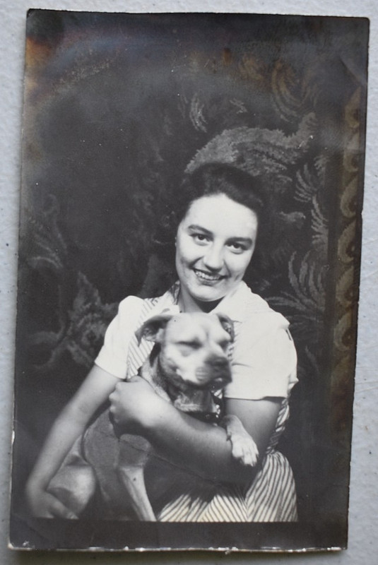 Pretty Woman Holding Her Pet Pit Bull Dog Vintage 1950s Studio Snapshot Photo