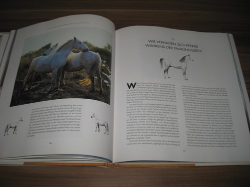 Horsewatching Körpersprache des Pferdes (Desmond Morris 1998) Buch gebunden Z2 - 第 7/10 張圖片