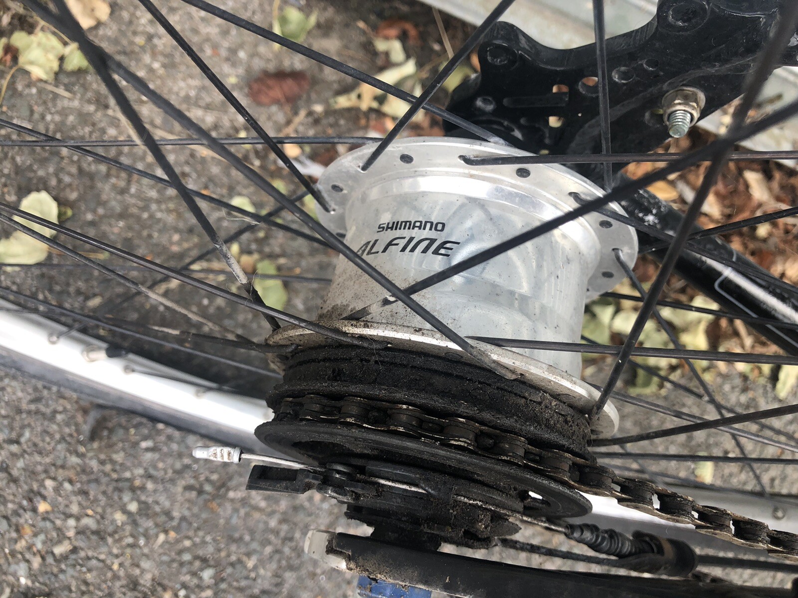 dahon cadenza alfine