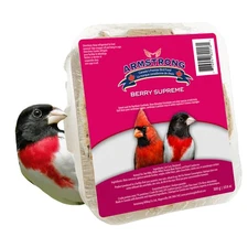Armstrong Wild Bird Food Berry Supreme Suet Cake for Outdoor Wild Birds, 10.6oz