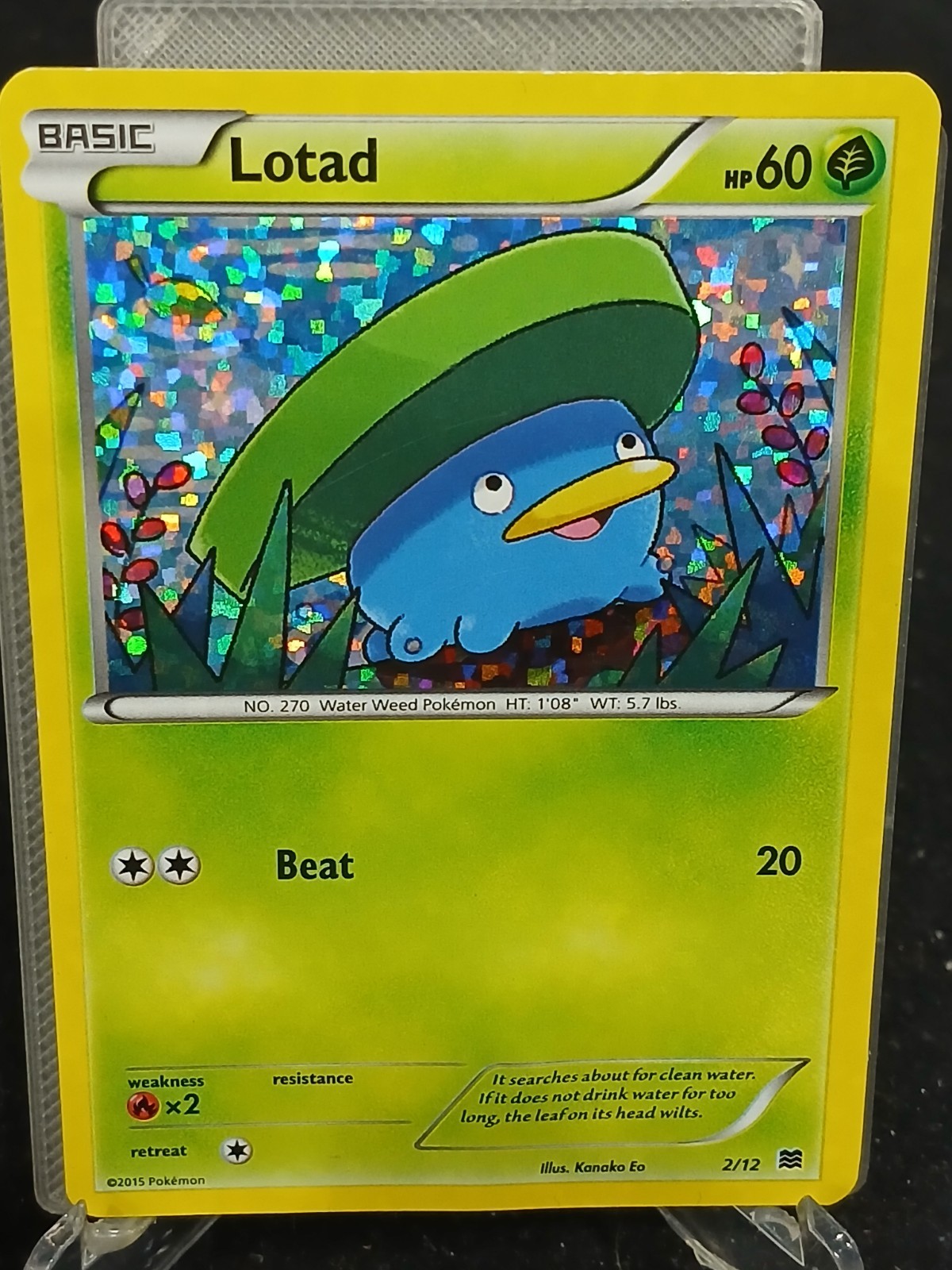 Pokemon McDonald's Promos 2015 Lotad 2/12 MP Holofoil