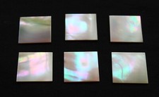 First quality flat GREEN SNAIL mother of pearl piece.