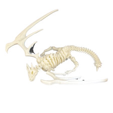 Posable Dragon Figure Feature Articulated Fantasy Rotating Wing Display Dinosaur