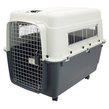 SportPet Designs Plastic Kennels Rolling Plastic Wire Door Travel Dog Crate, ...