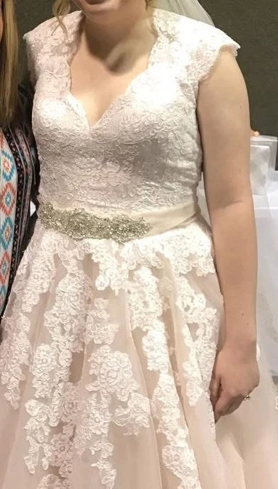 Allure Bridals 9272 蕾丝婚纱粉色色调薄纱带珠宝腰带 — 第 4/4 张图片