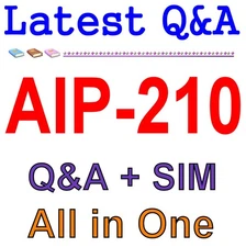 AIP-210 Certified Artificial Intelligence Practitioner Q&A