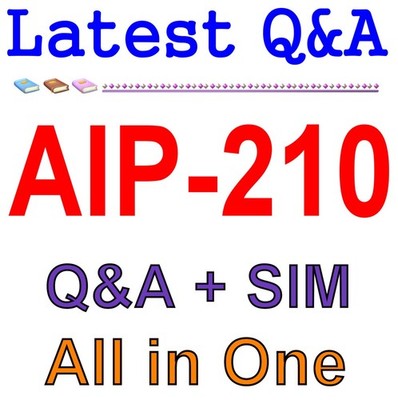 AIP-210 Zertifizierter KI-Practitioner Q&A Fragen Antworten Handbuch