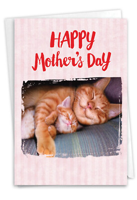 1  Mother's Day Card with Envelope - Cat Naps C5359MDG