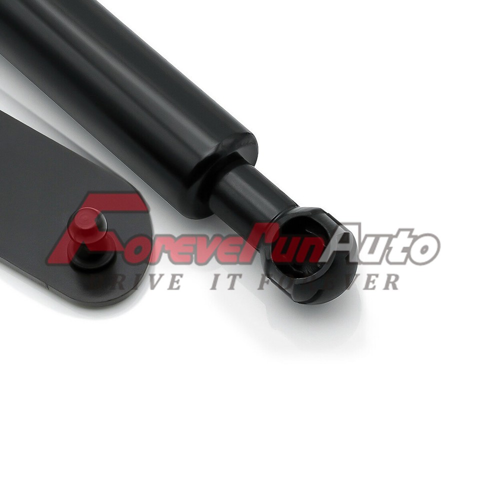 Tailgate Assist | Ford F-150 2WD/4WD (2004-2014) | Rough Country