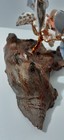 Bild 9 von 9