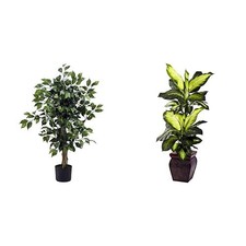 Nearly Natural 3ft Ficus Silk Tree & 45in Golden Dieffenbachia w/ Planters