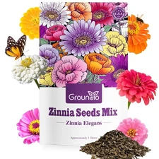 Groundio Zinnia Seeds Mix, 1 Oz, Over 3,000 Flowers Seeds, 5 Varieties (Pink, Ye