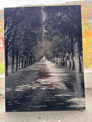 6x Wandbilder, Paris, Eiffelturm