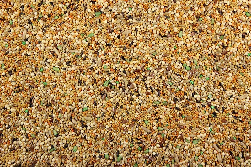 / Treat For Finches (5 Lbs)