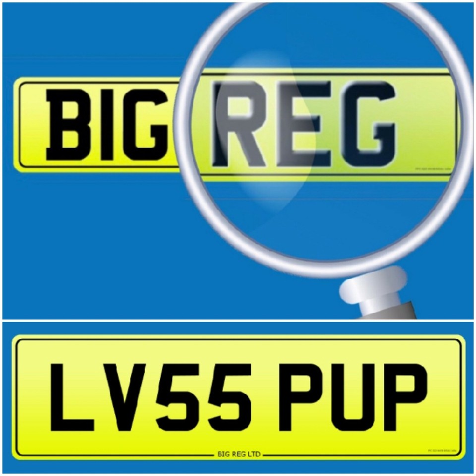 🐕 LOVES DOG LV55 PUP 🐶 BREEDER PRIVATE NUMBER PLATE JAN JEN EVE ANN BEN