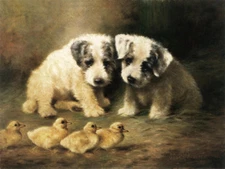 Handmade Oil Painting repro Lilian Cheviot Sealyham Puppies and Ducklings