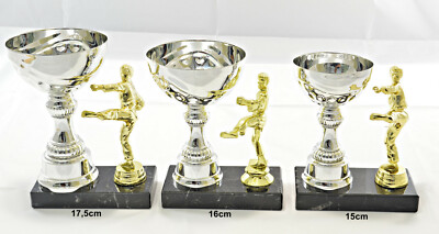 Kampfsport Trophäen komplette 3er Serie oder Einzeln mit Wunschbeschriftung
