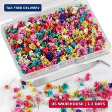 300 Pcs Mini Dried Flowers for Resin, Small Dried Flowers for Crafts Resin Nails