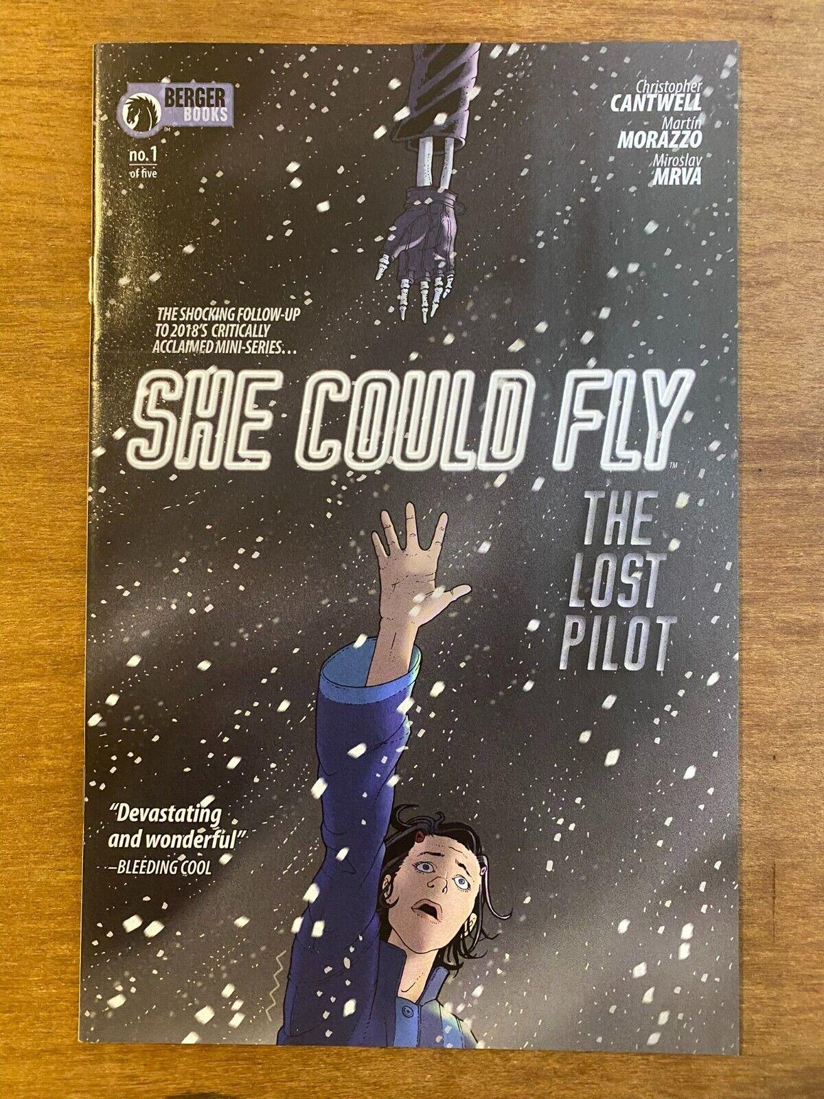 She Could Fly Comic 1 The Lost Pilot  First Print 2019 Cantwell Morazzo NM/VF
