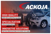 Ackoja Fensterheber Elektrisch Vorne Links FüR Hyundai IX35 LM EL ELH Ix35